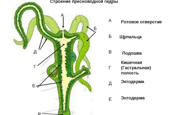 Не получается зайти на кракен